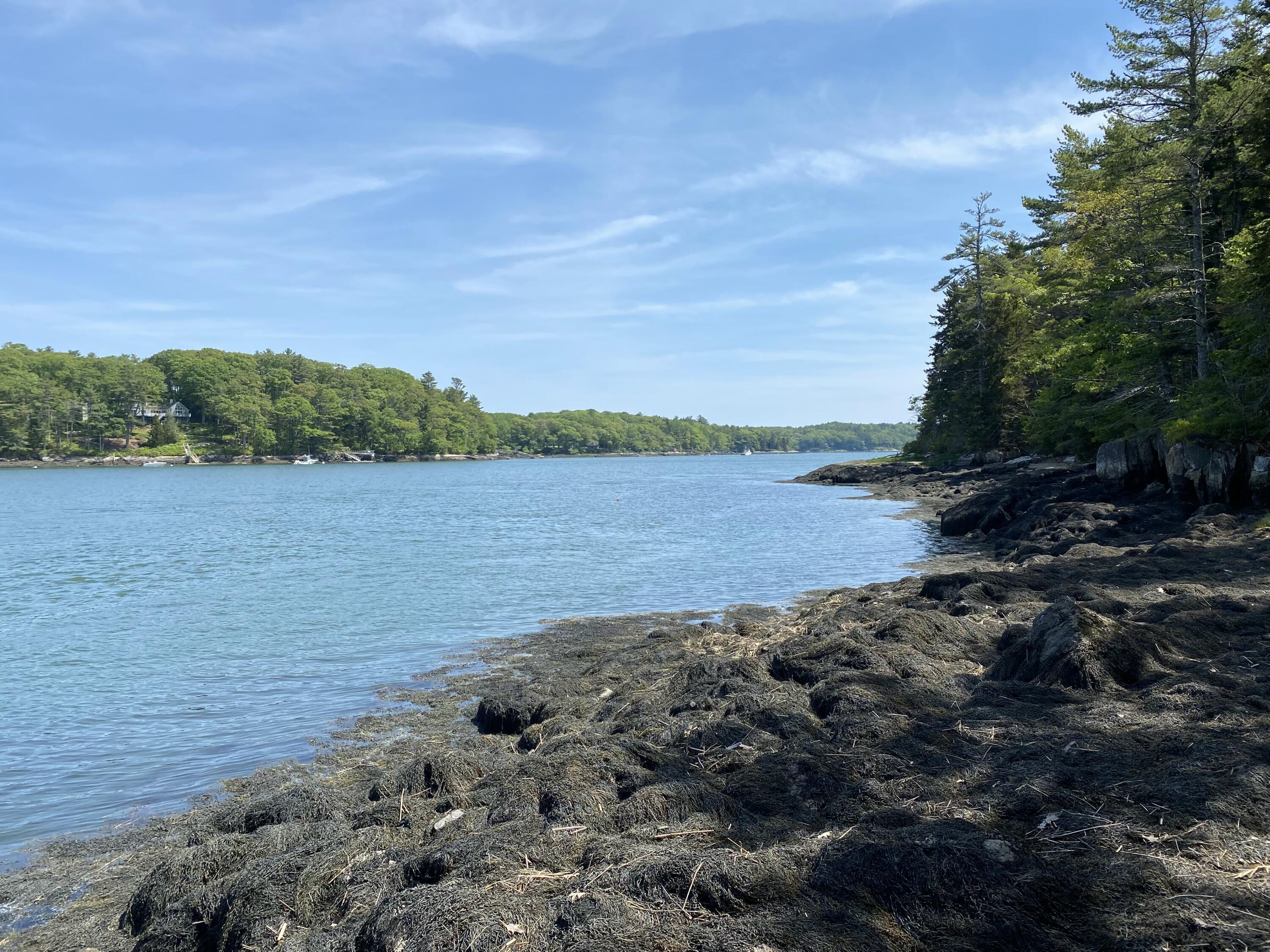 13 Porcupine Lane Westport Island ME 04578