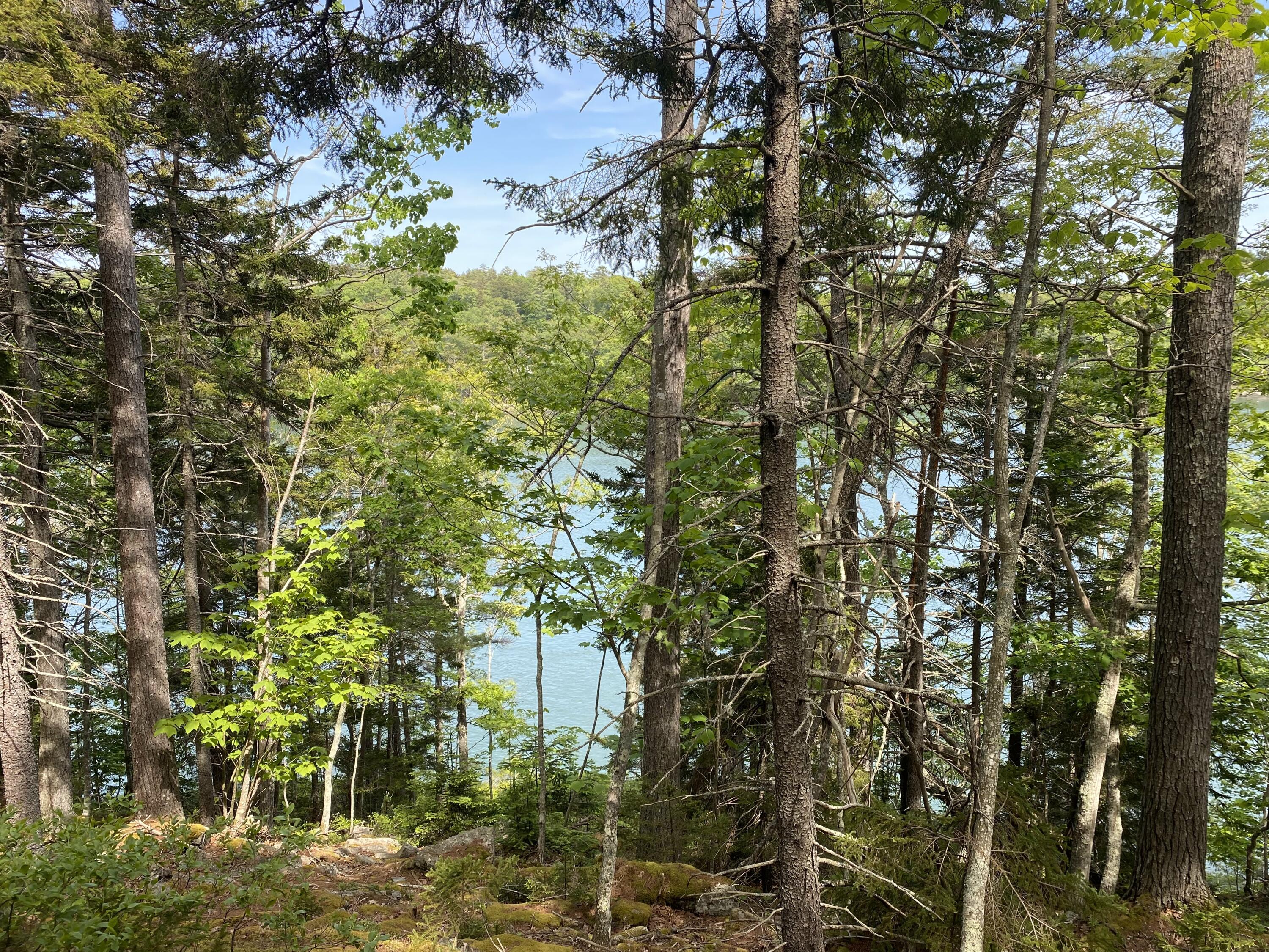 13 Porcupine Lane Westport Island ME 04578