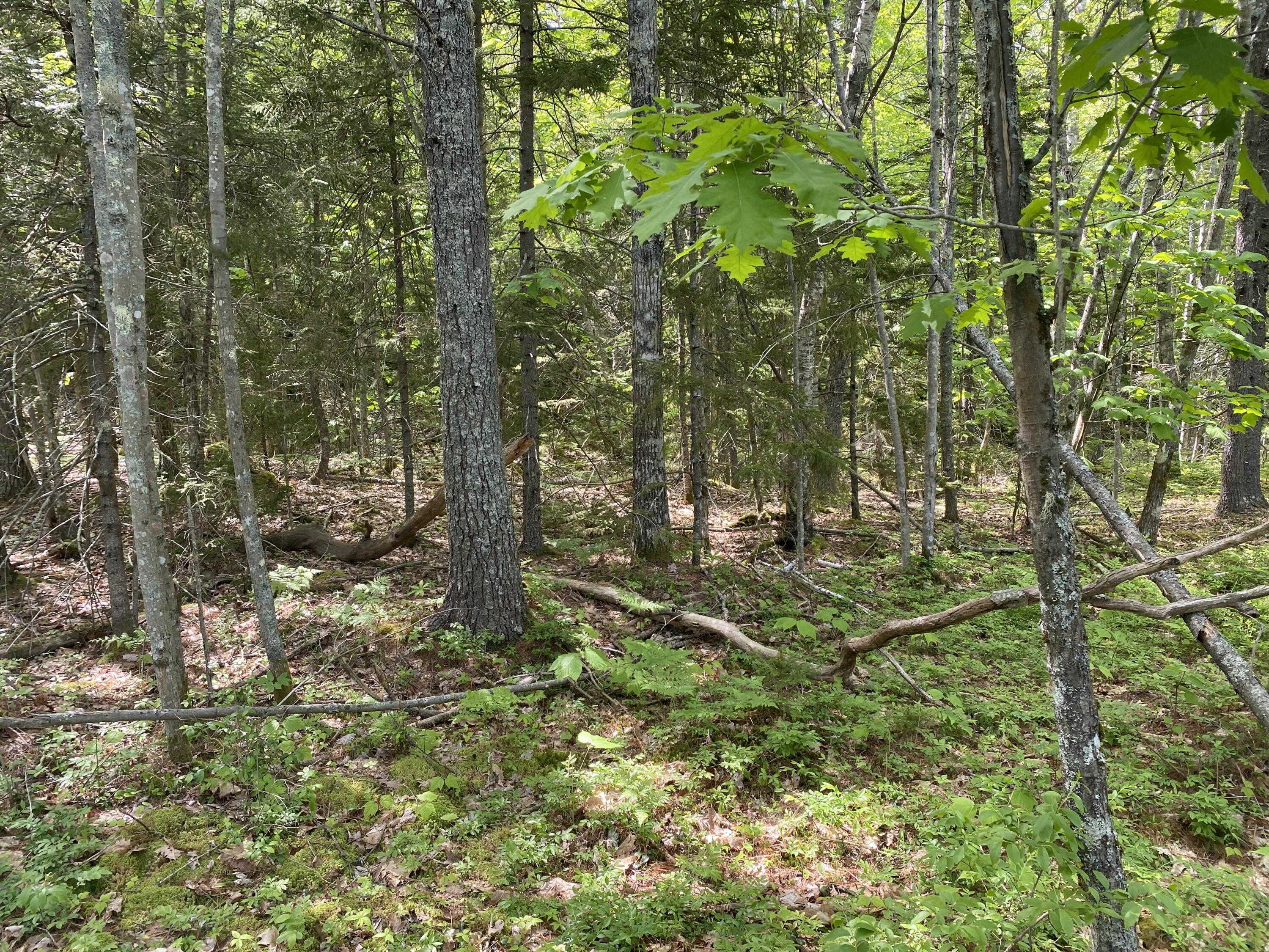 13 Porcupine Lane Westport Island ME 04578