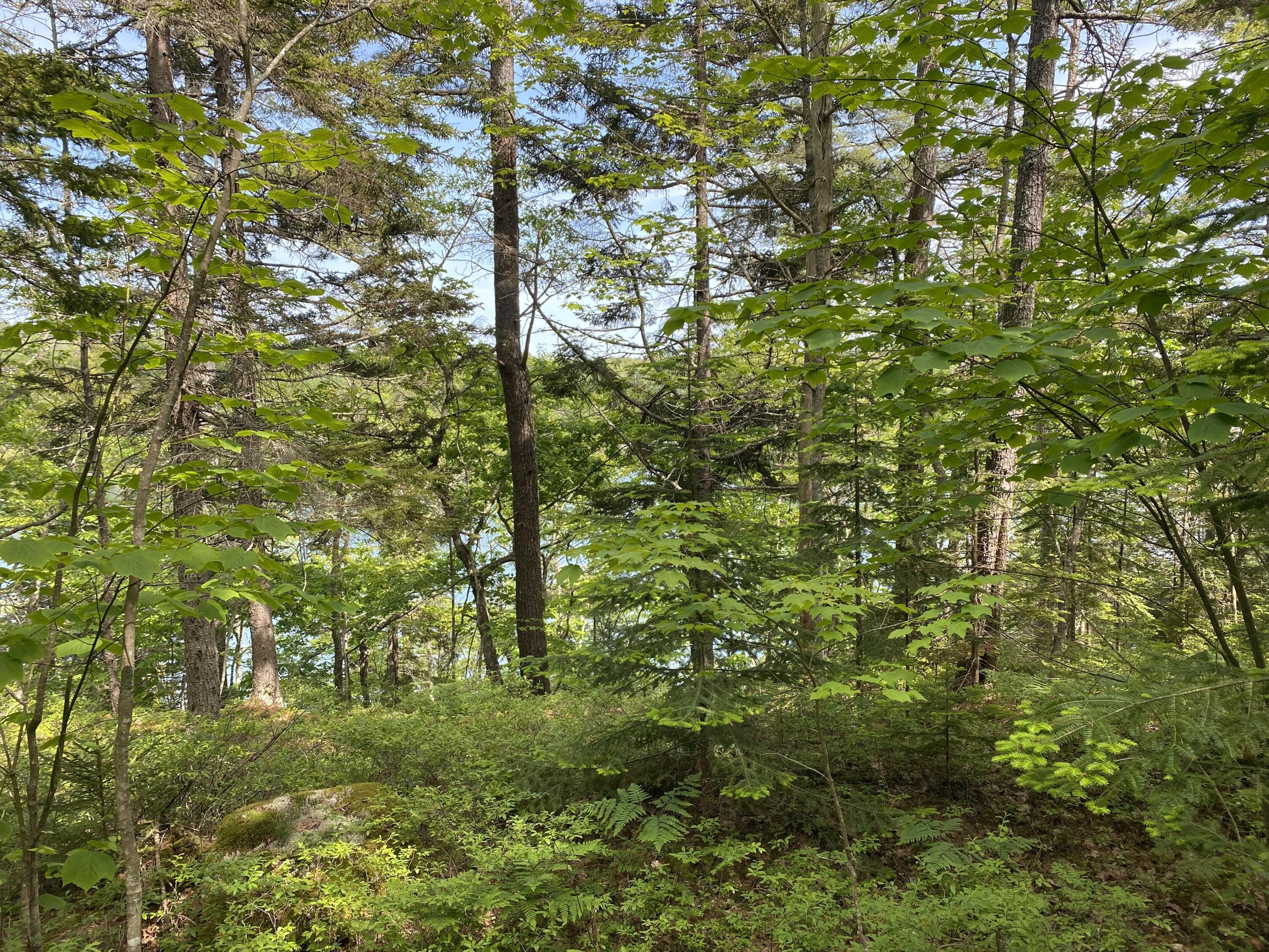 13 Porcupine Lane Westport Island ME 04578