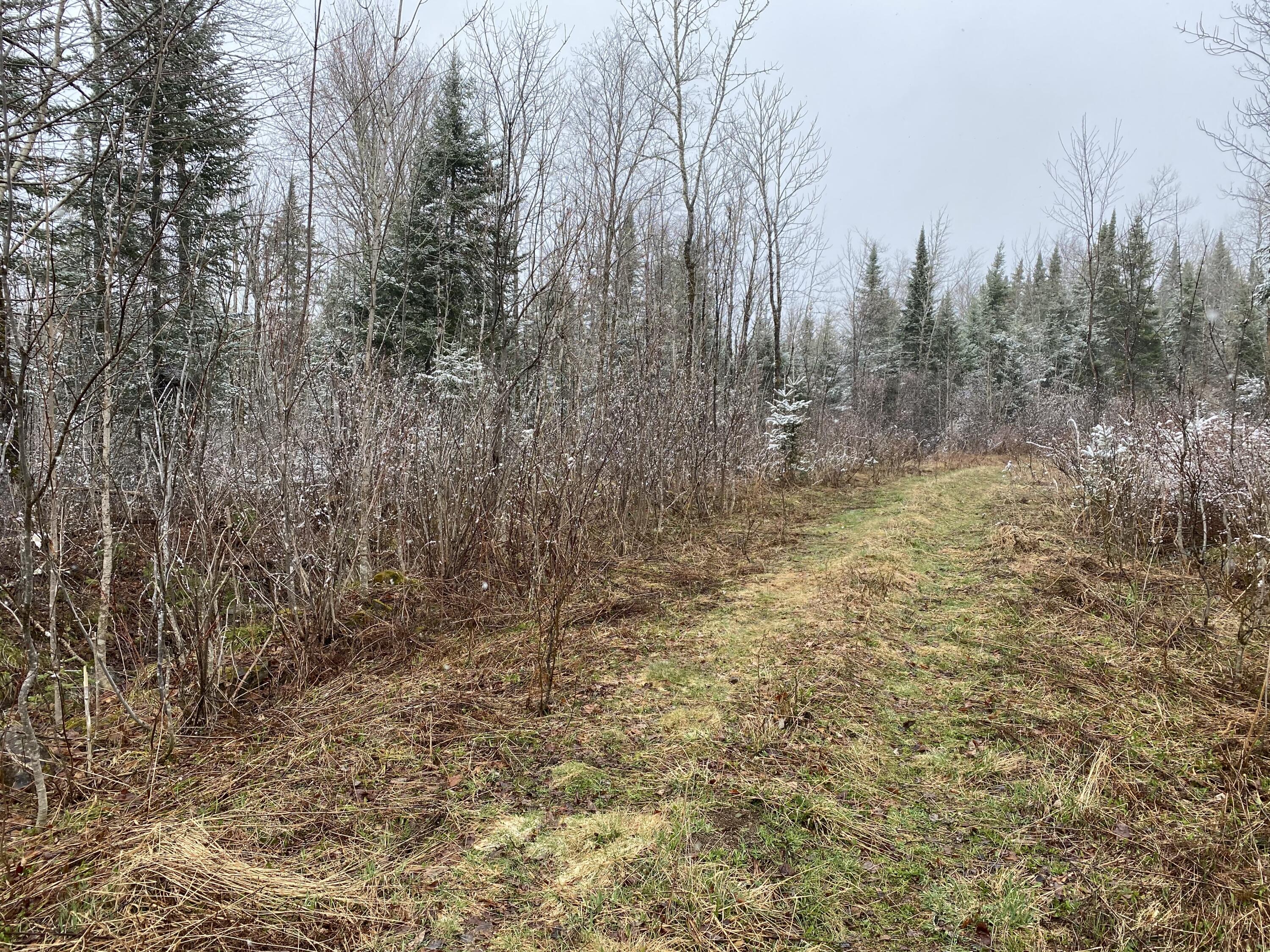 913 Skedgell Road Cary Plt ME 04471