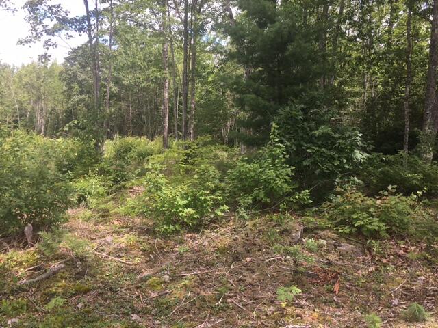 00 Bucksport Road Ellsworth ME 04605