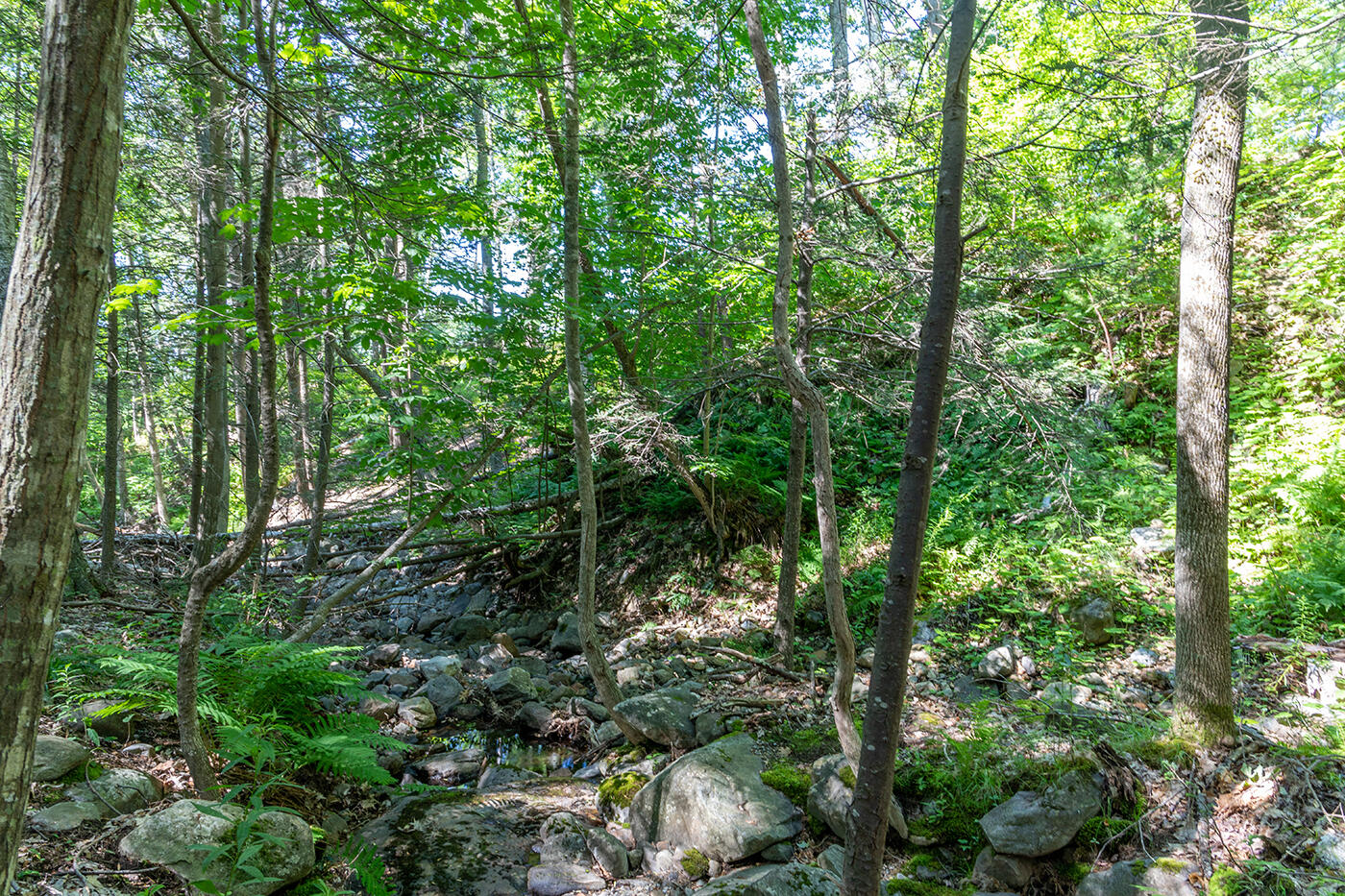 00 Mountain Arrow Drive Camden ME 04843