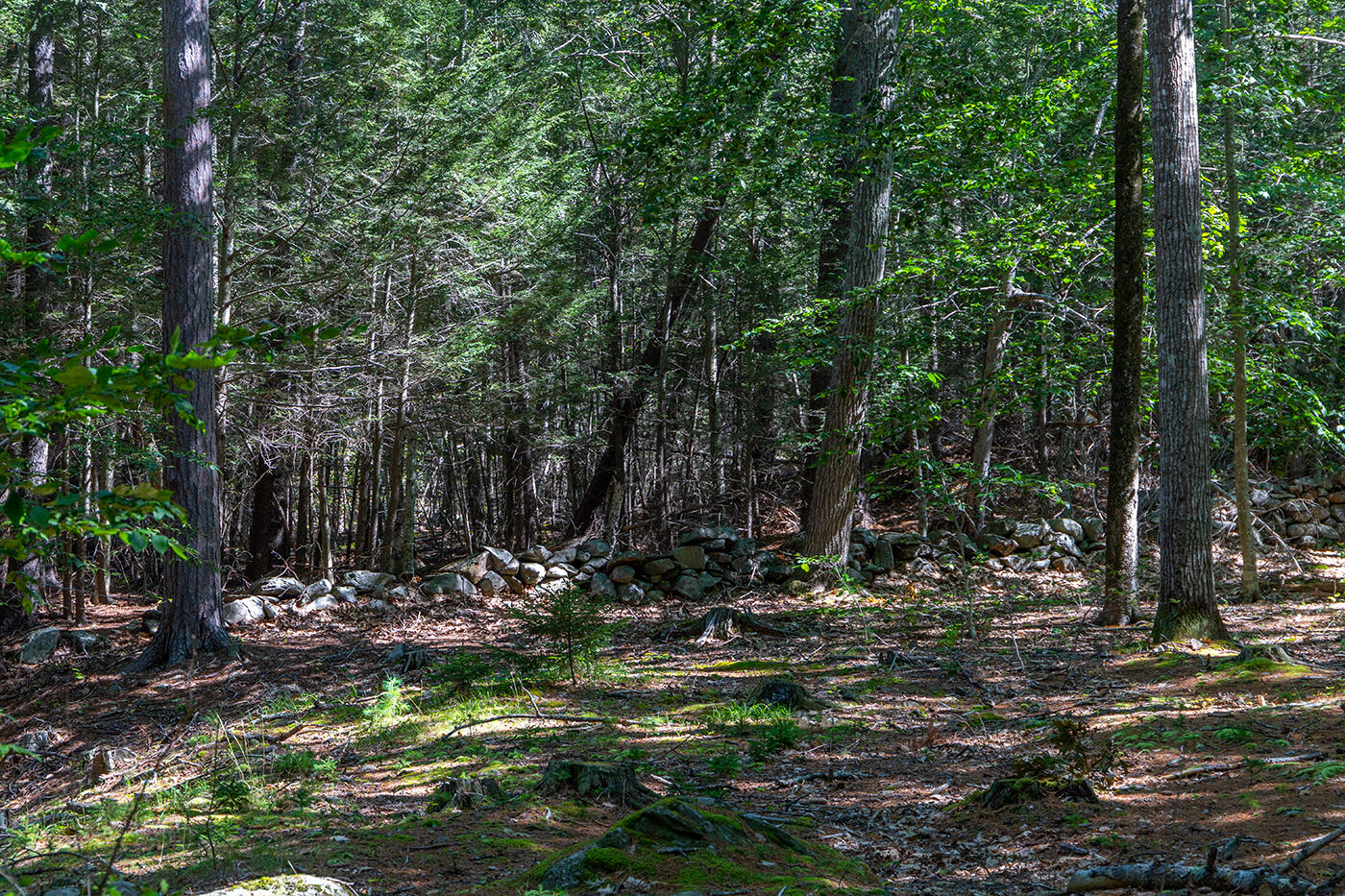 00 Mountain Arrow Drive Camden ME 04843