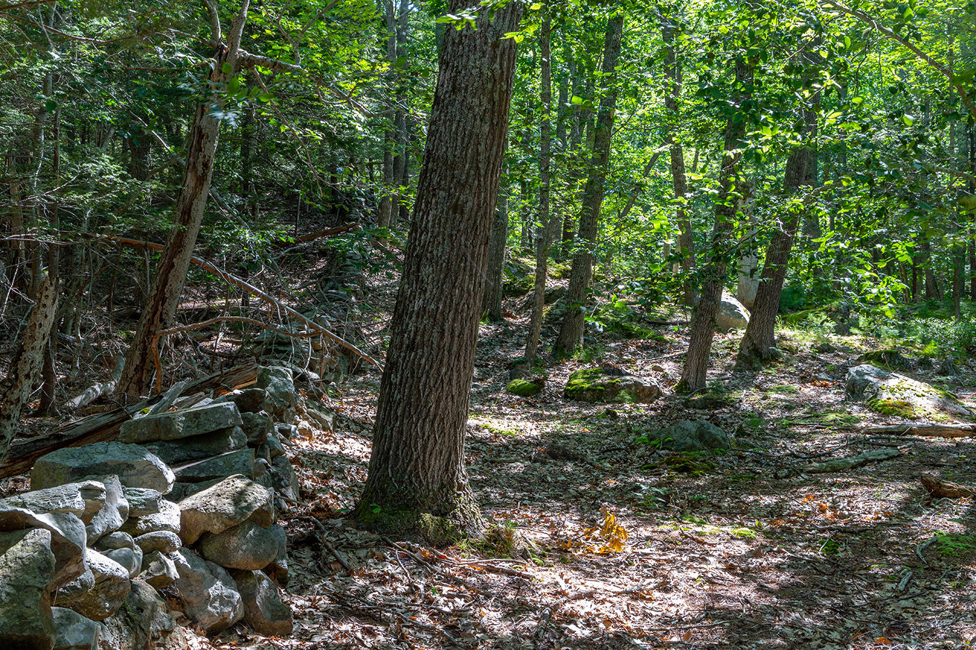 00 Mountain Arrow Drive Camden ME 04843