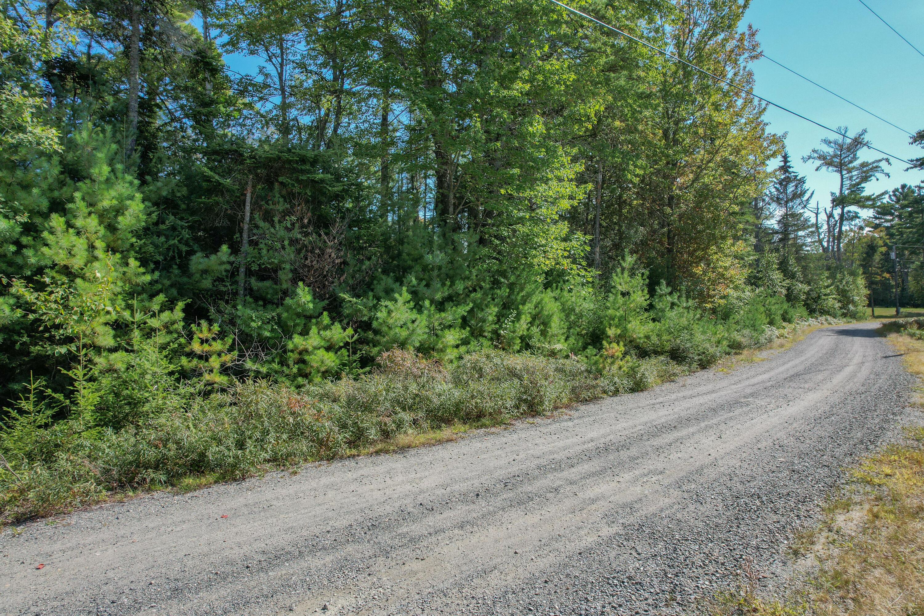 Lot 6 Kennel Brook Drive Lamoine ME 04605
