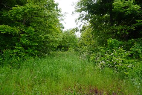 Lot 4.111 Lyford Road Orneville Twp ME 04463