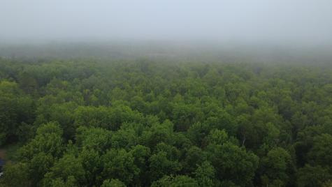 Lot 4.111 Lyford Road Orneville Twp ME 04463