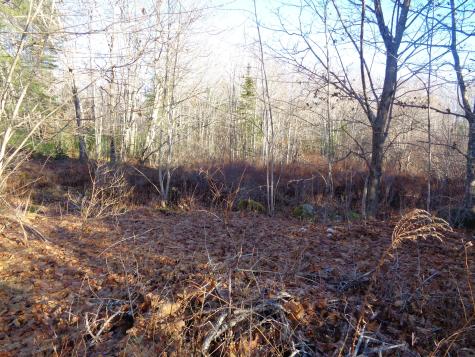 68 Quarry Road Sullivan ME 04664