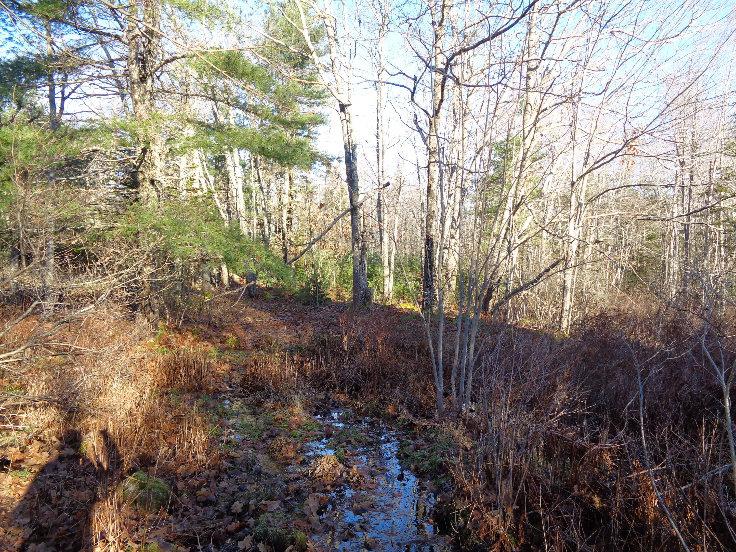 68 Quarry Road Sullivan ME 04664