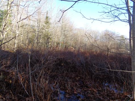 68 Quarry Road Sullivan ME 04664