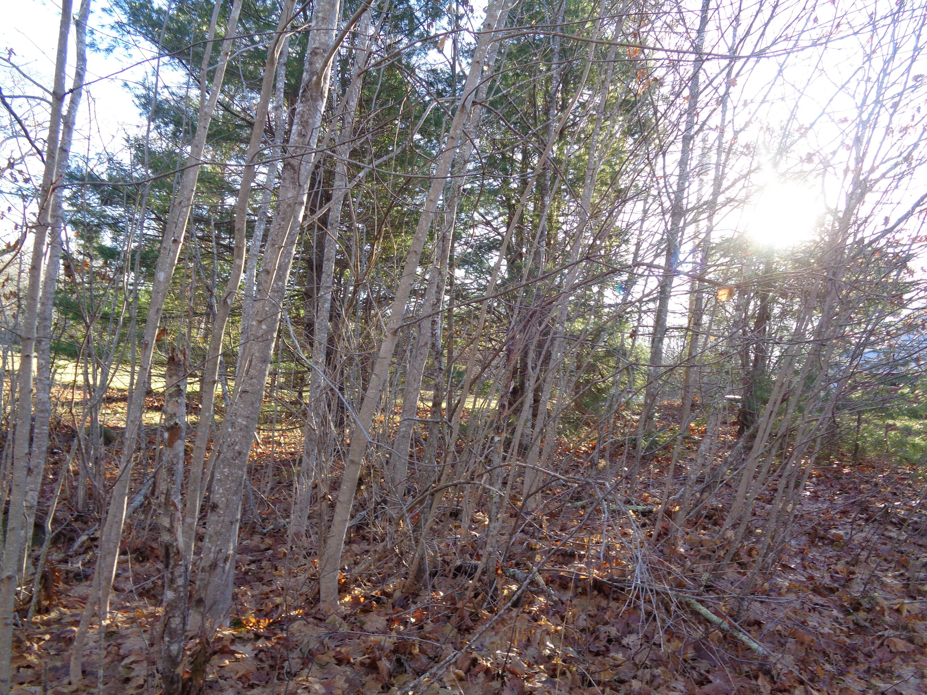 68 Quarry Road Sullivan ME 04664