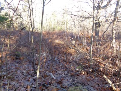 68 Quarry Road Sullivan ME 04664