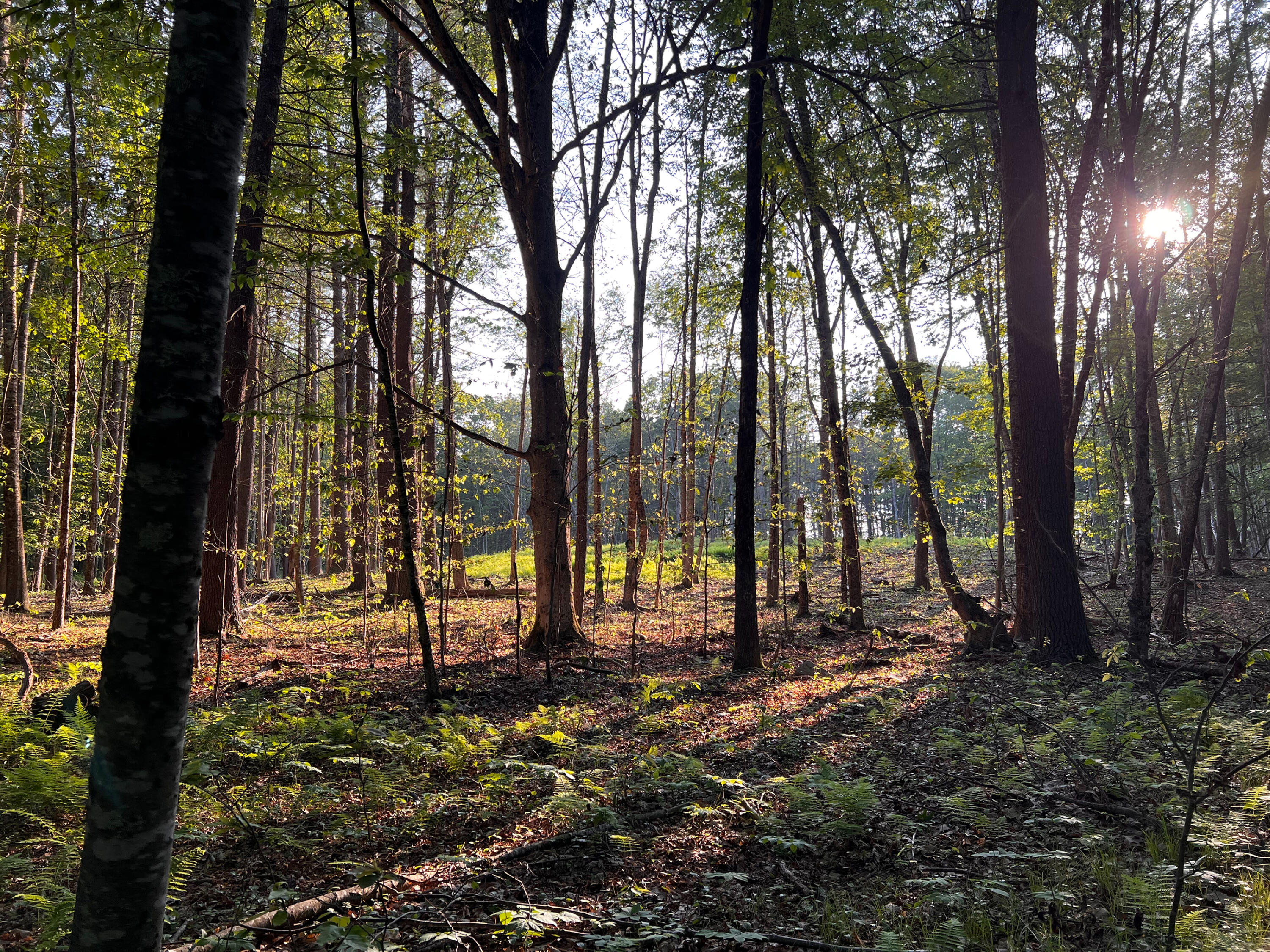 0 Goodwin Road Eliot ME 03903