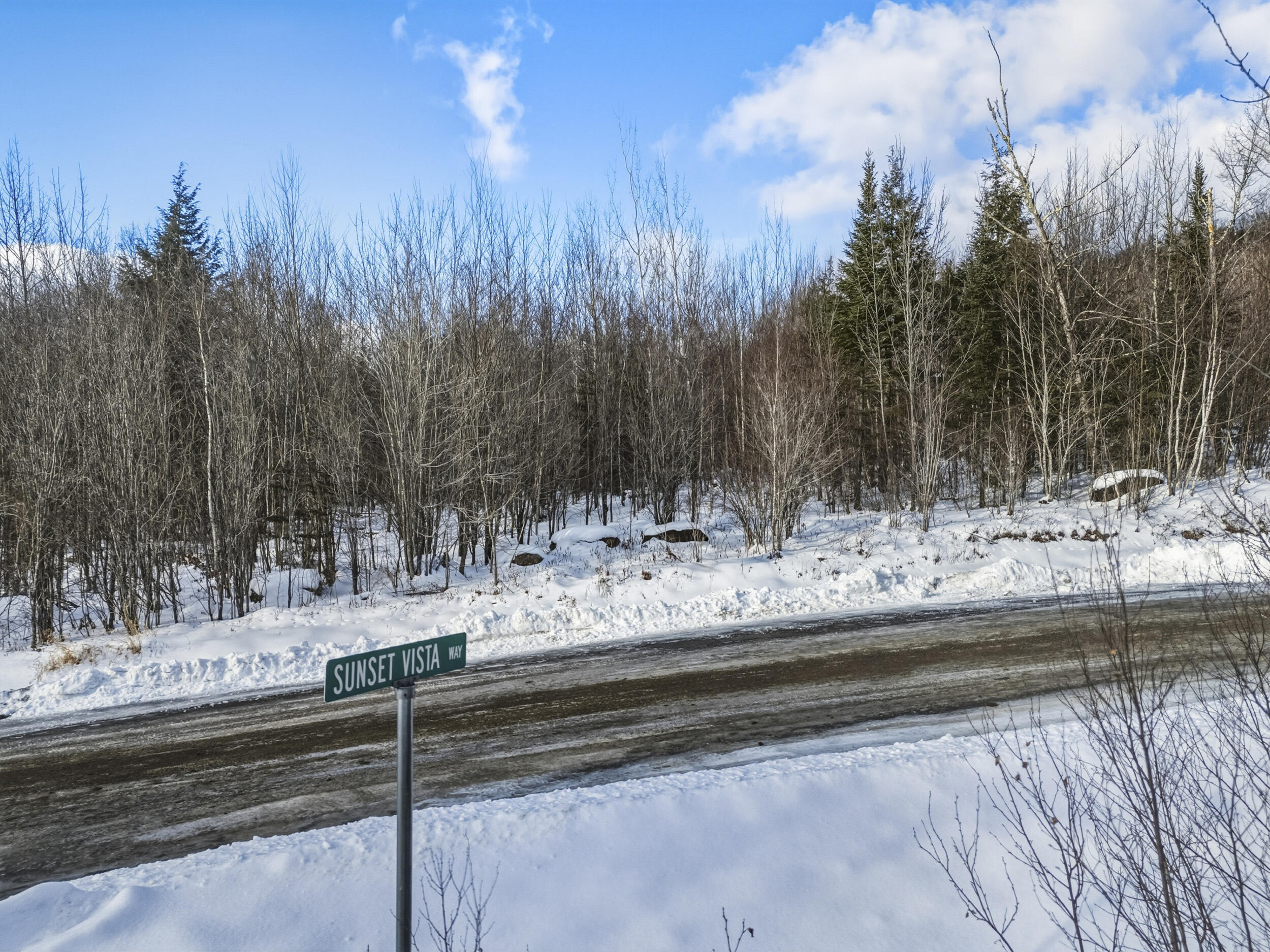 Lot 58 Sunset Vista Way Newry ME 04261
