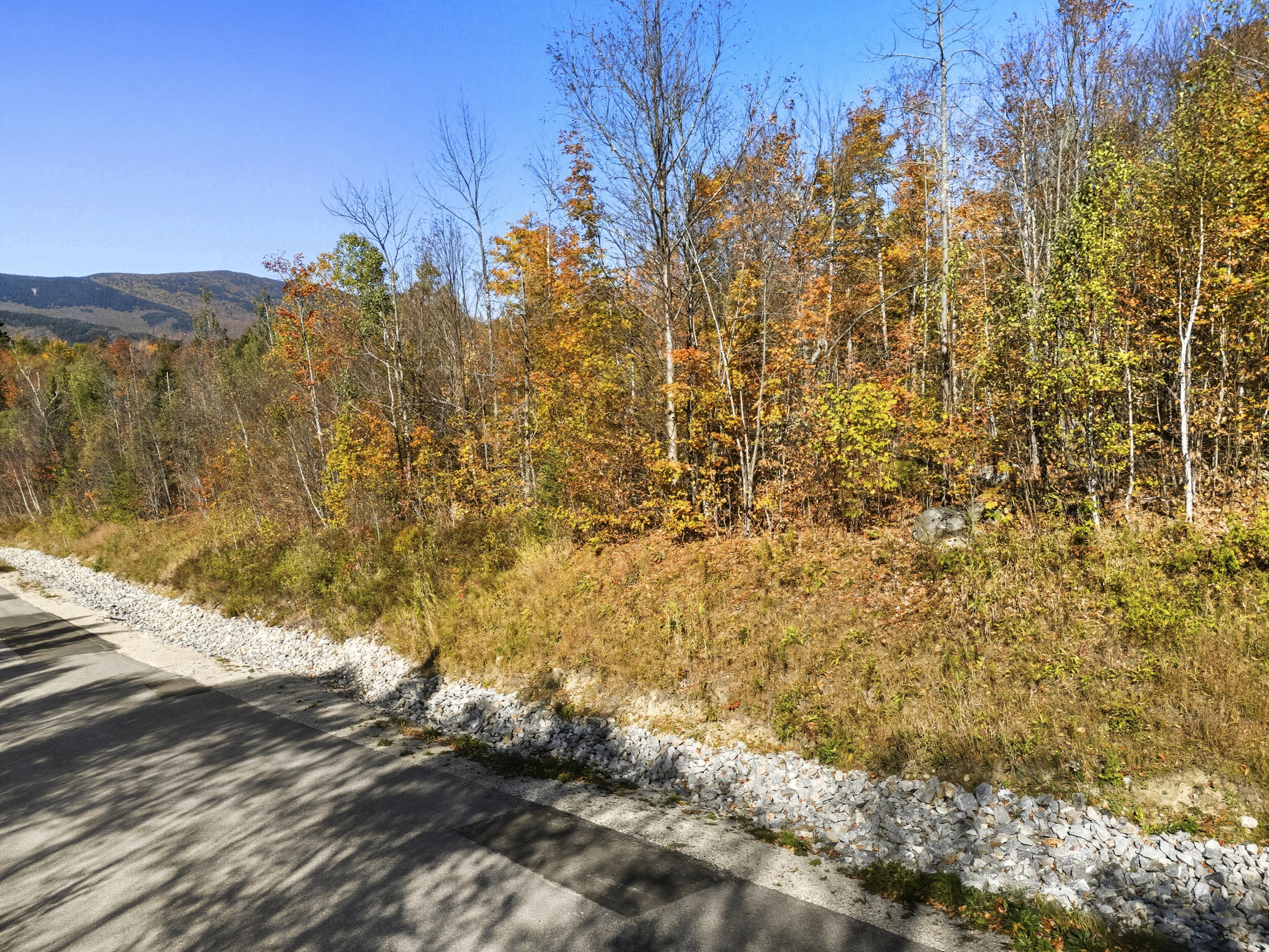 Lot 58 Sunset Vista Way Newry ME 04261
