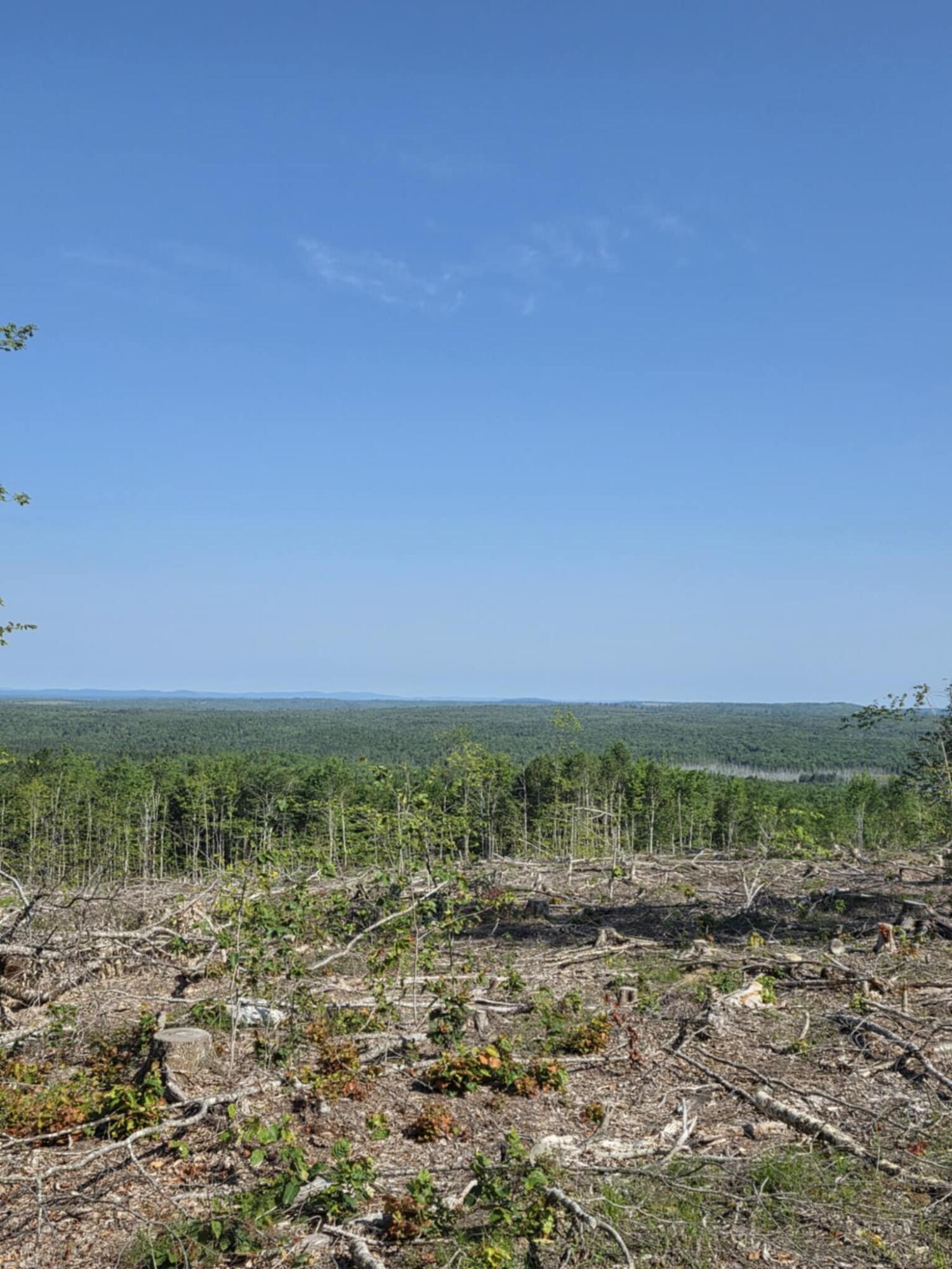 Lot #11 Tower Road Cooper ME 04657