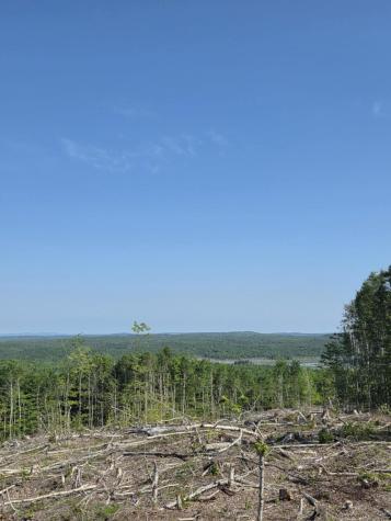 Lot #11 Tower Road Cooper ME 04657