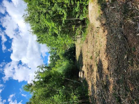 Lot 2 Chloe Way (25 Falmouth Road) Road Falmouth ME 04105