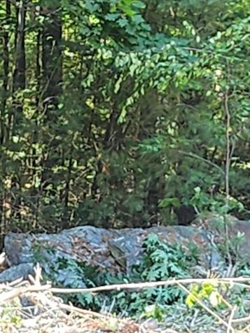 Lot 2 Chloe Way (25 Falmouth Road) Road Falmouth ME 04105