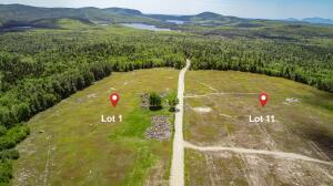 MAP13LOT1 Martins Ridge Road Franklin ME 04634