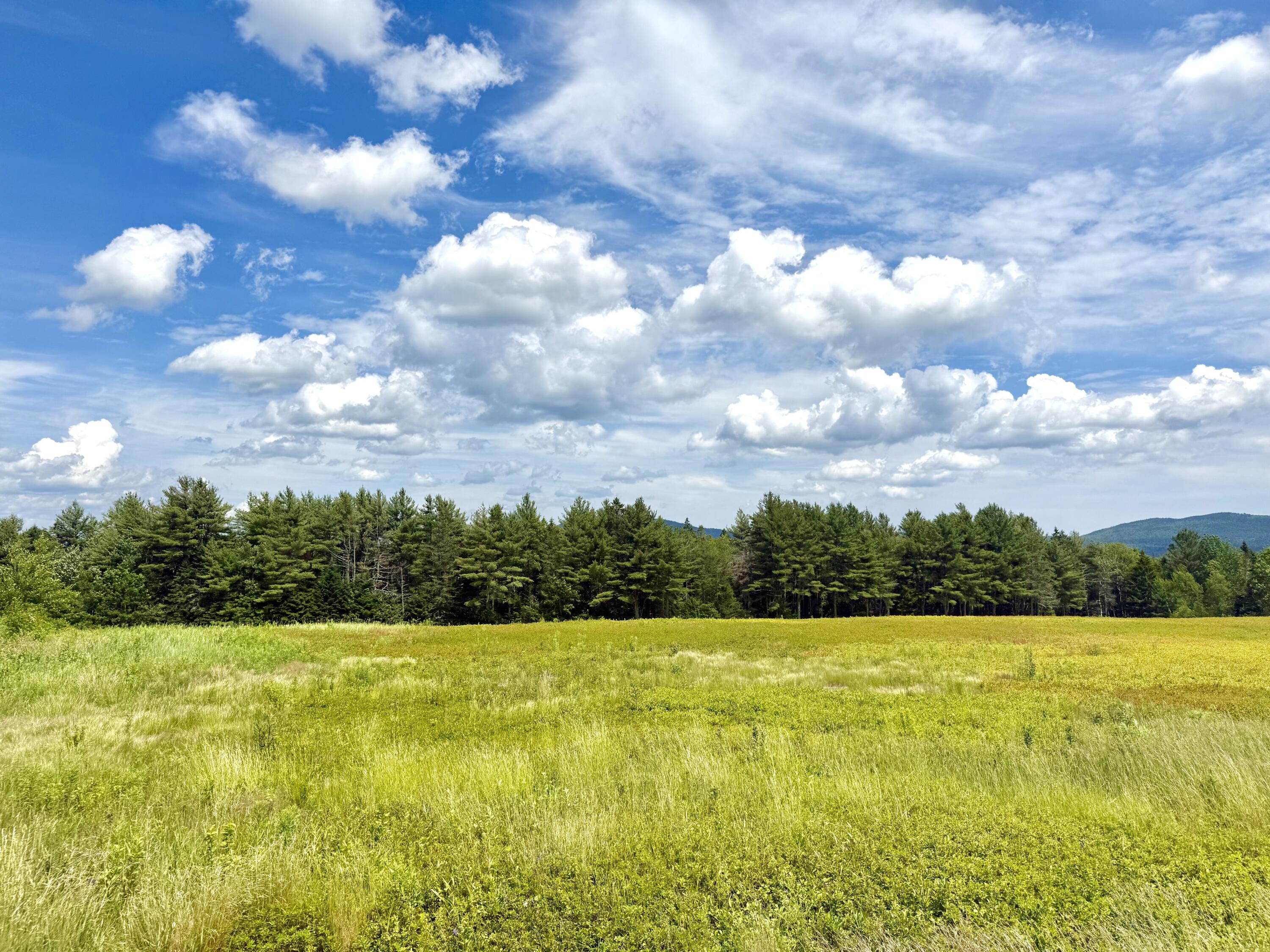 MAP13LOT1 Martins Ridge Road Franklin ME 04634