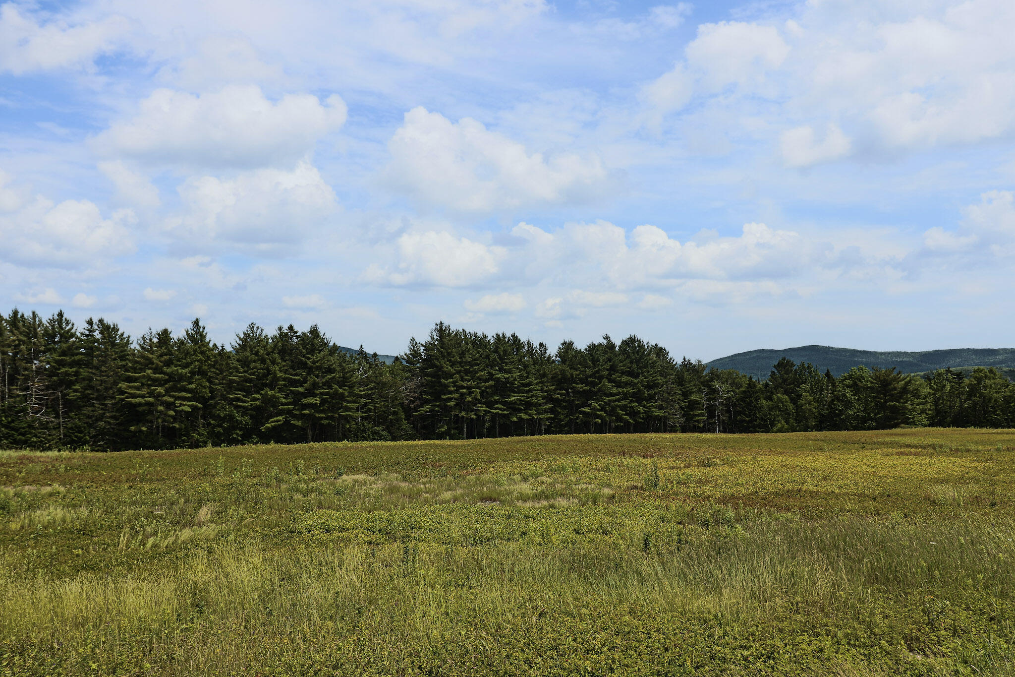 MAP13LOT1 Martins Ridge Road Franklin ME 04634