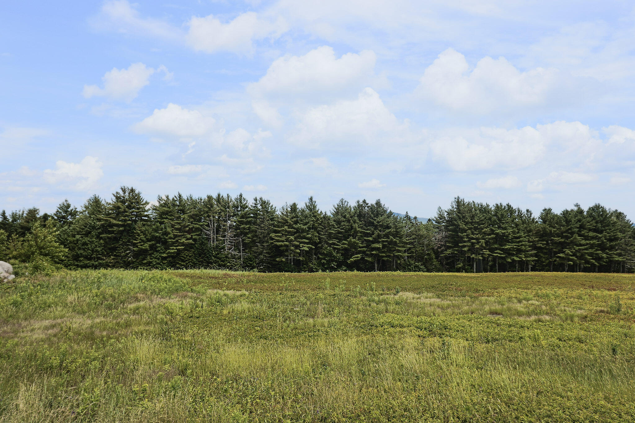 MAP13LOT1 Martins Ridge Road Franklin ME 04634