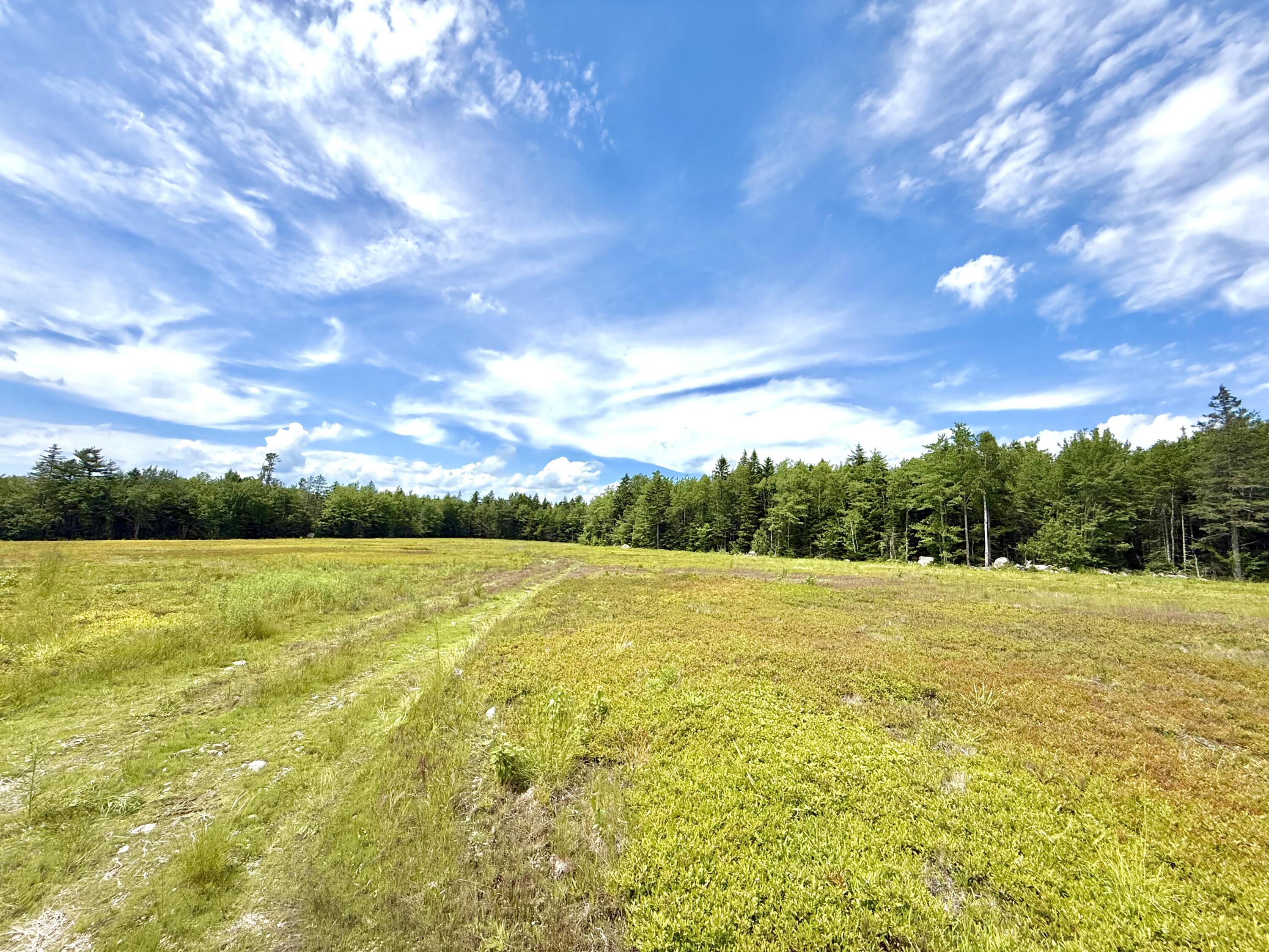 MAP13LOT1 Martins Ridge Road Franklin ME 04634
