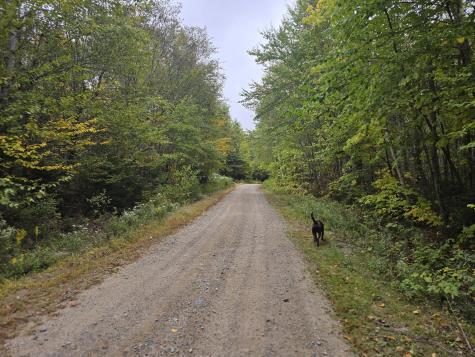 L 60 Eleanor Mae Road Deblois ME 04622