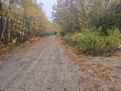 L 60 Eleanor Mae Road Deblois ME 04622