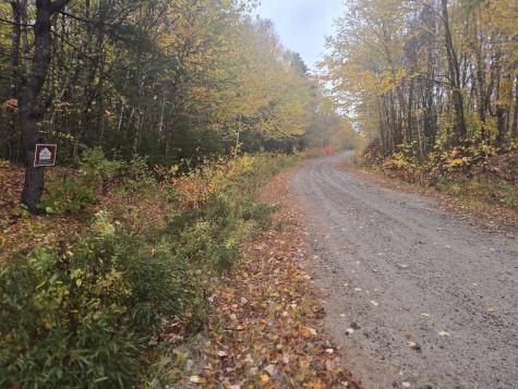 L 60 Eleanor Mae Road Deblois ME 04622