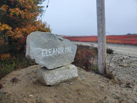 L 60 Eleanor Mae Road Deblois ME 04622