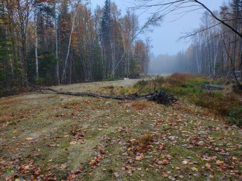 L 60 Eleanor Mae Road Deblois ME 04622