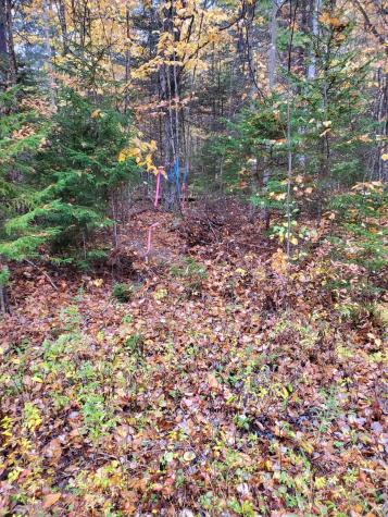 L 60 Eleanor Mae Road Deblois ME 04622