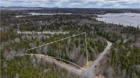 M24 L9b-10 Merganser Drive Gouldsboro ME 04607