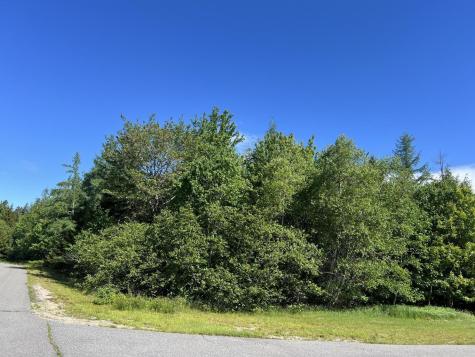 M24 L9b-10 Merganser Drive Gouldsboro ME 04607