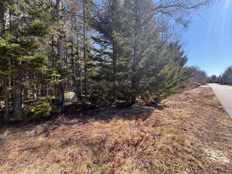 M24 L9b-10 Merganser Drive Gouldsboro ME 04607