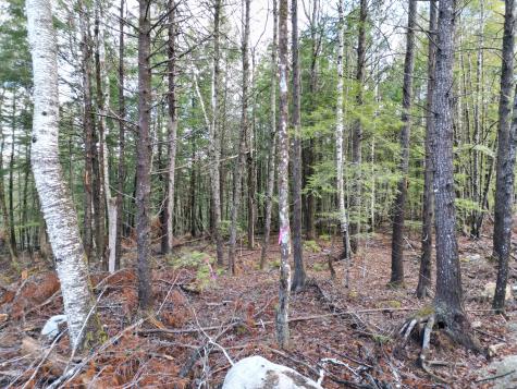 Lot 5 Beaver Cove Lincoln ME 04457