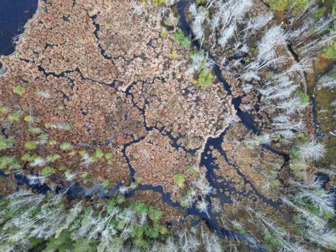 Lot 5 Beaver Cove Lincoln ME 04457