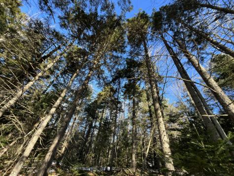 0 High Street Peru ME 04290