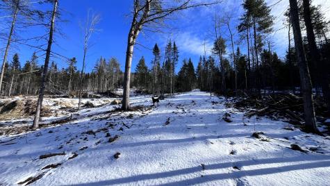 0 High Street Peru ME 04290