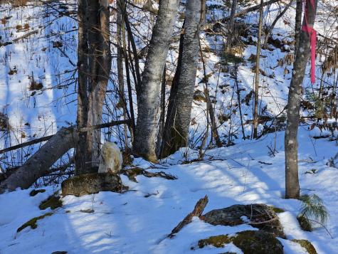 0 High Street Peru ME 04290