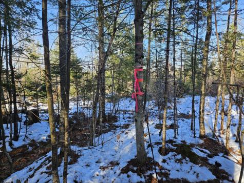 0 High Street Peru ME 04290