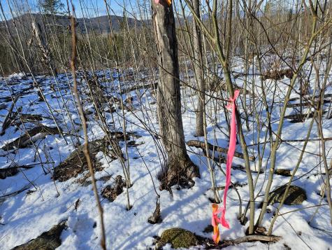 0 High Street Peru ME 04290