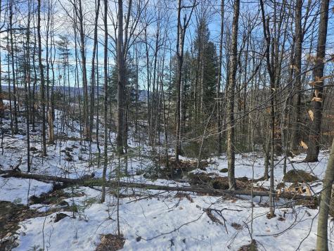 0 High Street Peru ME 04290