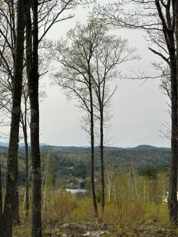 Lot 17 Birch Circle Harrison ME 04040