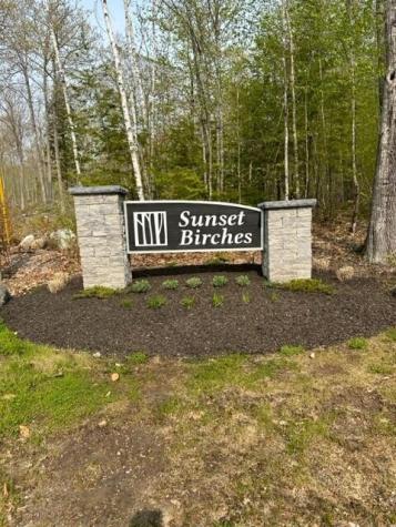 Lot 17 Birch Circle Harrison ME 04040