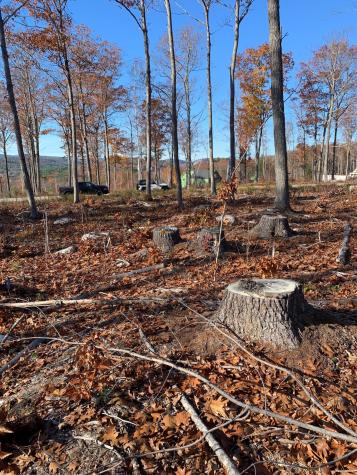 Lot 17 Birch Circle Harrison ME 04040