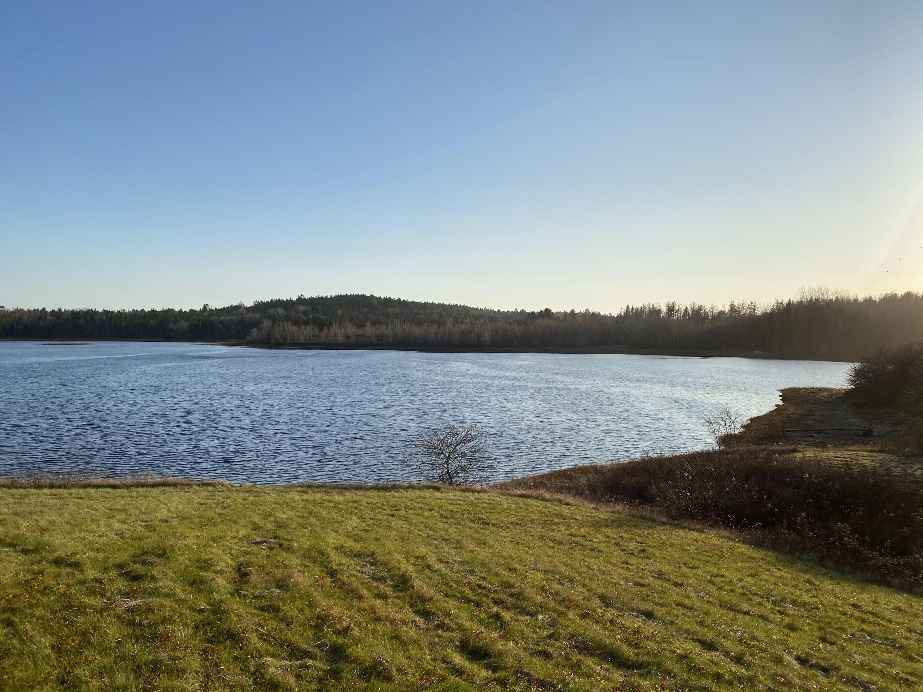 Lot 52 Old Route 1 Jonesboro ME 04648
